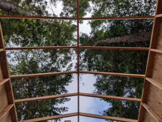 An interior view of a small cabin, looking straight up. The roof is unfinished and you can see the trees and sky above the cabin.