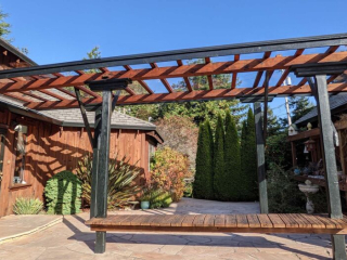 Two people stand looking up at a beautiful glass and stained wood pergola