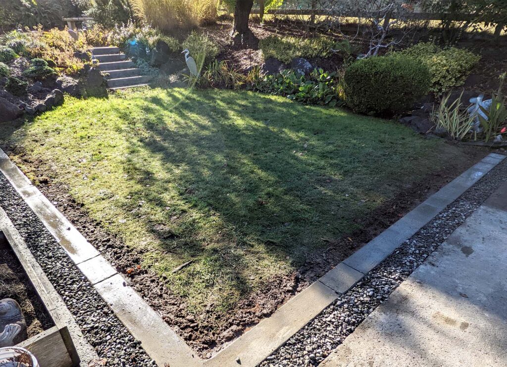 An exterior view of a yard with a newly-installed cement border.